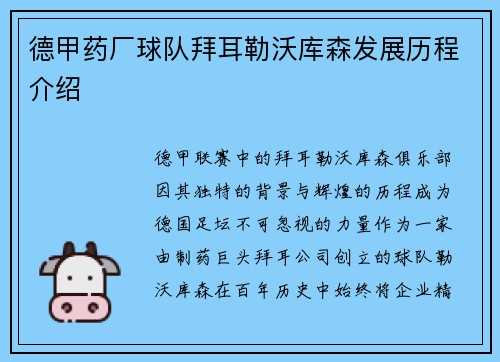 德甲药厂球队拜耳勒沃库森发展历程介绍